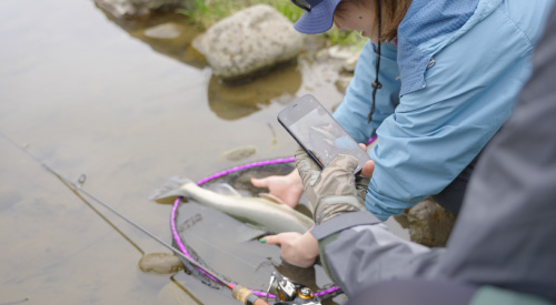 ニセコで有名なフィッシングツアー
