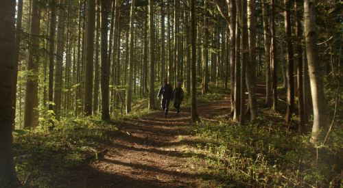 綺麗な空気をカラダで感じる